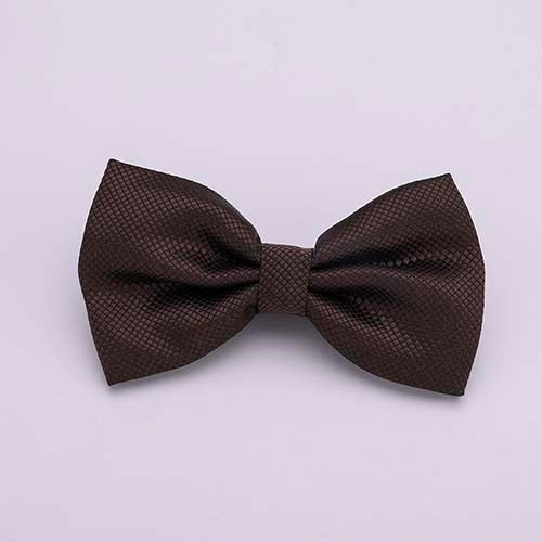 Colorful Solid Bowtie