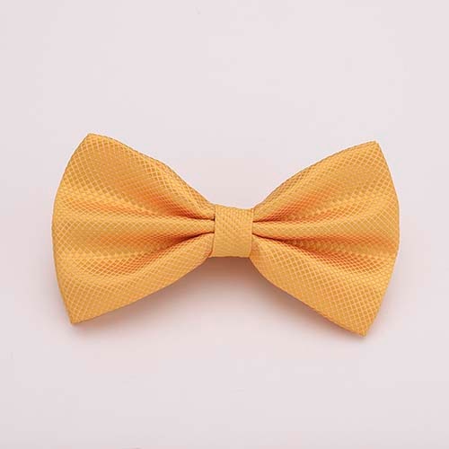 Colorful Solid Bowtie