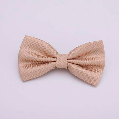 Colorful Solid Bowtie