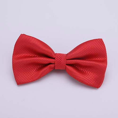 Colorful Solid Bowtie