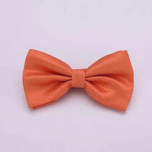 Colorful Solid Bowtie