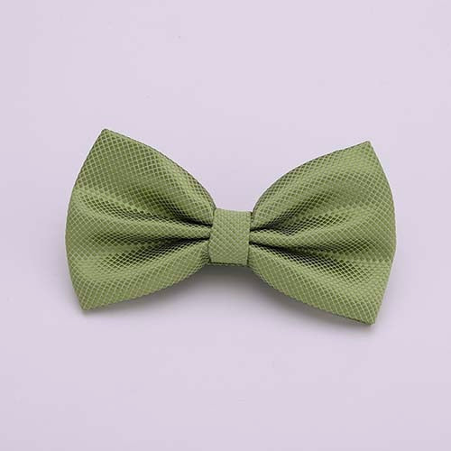 Colorful Solid Bowtie