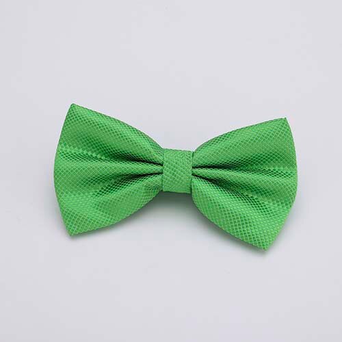 Colorful Solid Bowtie