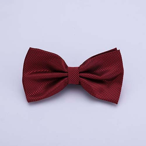 Colorful Solid Bowtie